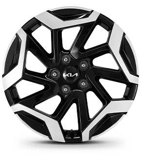 kia-seltos-wheel-all-view-18-2