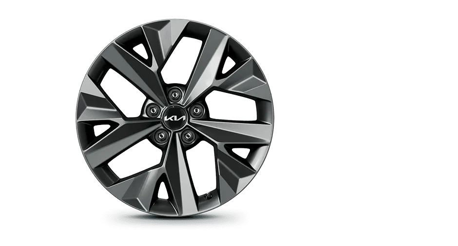 sportagel-wheel-big-18b