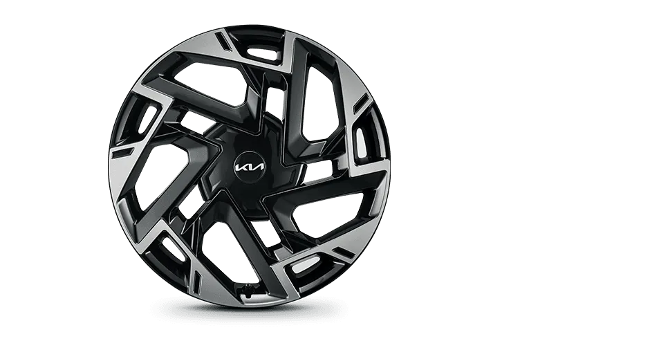 sportagel-wheel-big-19