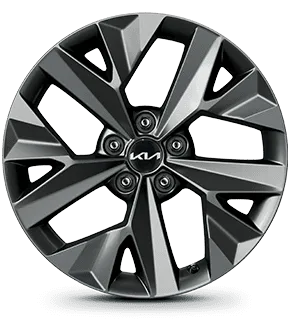 sportagel-wheel-small-18b